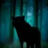 kylechristophers2404 - @kylechristophers - TikTok