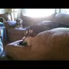 Kyle Christy647 - @kyle.christy - TikTok