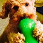 Kyle Christy - @kylechristy2 - Instagram