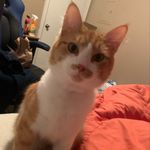 Kyle Cloud - @kalecloud - Instagram