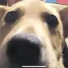 Kyle.03 - @kyle.coen - TikTok