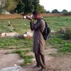 Ayush_Tyagi - @kylecoffeltt - TikTok
