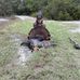 Kyle Comeaux - Facebook