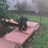 Kylee Comer - @kylee.comer1 - TikTok