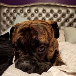 Kyle Corley - @kyle.corley1973 - Instagram