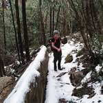 Kyle Cornall - @kylecornall - Instagram