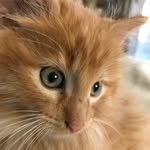 Kyle Corning - @kyle.corning.92 - Instagram