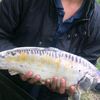 ♡FISHING♡ - @kylecorrigan5 - TikTok