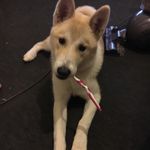 @kyle.corrigan.505 - Instagram