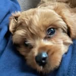 Kyle corry - @kylecorry7 - Instagram