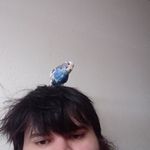 kyle Cotter - @chingweasel - Instagram