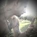 Kyle Courson - Facebook