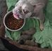 Kyle Krager - Facebook