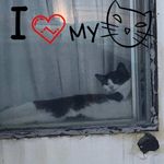 Cressman Johnn Kyle - @shielow511 - Instagram