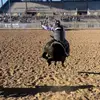 Kylebroncrider - @kylebroncrider - TikTok
