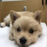 Kyle - @kyle_thedawg_crossman - Instagram