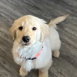 Kyle Crump - @kyle__crump - Instagram