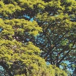 Kyle Cuevas - @kyle.cuevas.9406 - Instagram