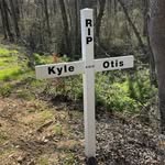 Kyle cupples - @kyle.cupples - Instagram