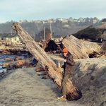 Kyle Curley - @kcurley859 - Instagram