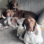Kyle Curley - @kylecrly - Instagram