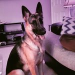 Kyle Dame - @okkyle23 - Instagram