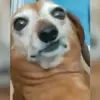 Not in use - @kyle_dancer2749 - TikTok