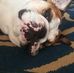 Kyle Davis - Facebook
