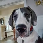 kyle dearth - @kyle.dearth - Instagram