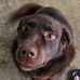 Kyle Delp - Facebook