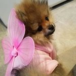 Kyle Delp - @plasma_turtlexx - Instagram