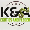 Kyle DeWitt - @kna_exoticsnfeeders - TikTok