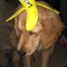 Kyle Diemert - Facebook