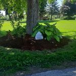 Kyle Dietz - @dietrich5315 - Instagram