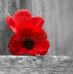 Kyle Dietz - Facebook