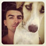 Kyle Digby - @kdigby - Instagram