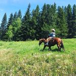Kyle Dingreville - @kyledinger6 - Instagram