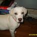 Kyle Donaldson - Facebook