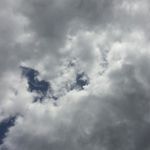 Kyle Donaldson - @kyledonaldson2019 - Instagram