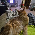 kyle - @kyle.donaldson2 - Instagram