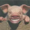 Kyle Donato - @kyle.donato - TikTok