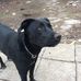 Kyle Downer - Facebook