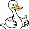 Kyleduck - @kyleduck66 - TikTok
