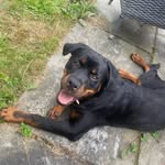 Kyle dunlop - @dunlop2481 - Instagram