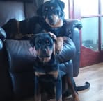 Kyle Dunlop - Facebook