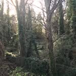 Kyle Nilsson-Dunphy - @kylenilssondunphy - Instagram