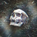 kyle - @kyle.dupreezzz - Instagram