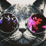 Kyle Durrant - @_kyle_durrant_ - Instagram