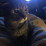 Kyle Durrett - @kdurrett87 - Instagram