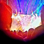 Kyle Earhart - @theman_themole - Instagram